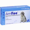 Amflee 268 Mg Spot- On für Große Hunde 20- 40 Kg 3 Stück - ab 9,89 €