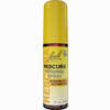Bachblüten Original Rescura Spray Alkoholfrei  20 ml - ab 12,16 €