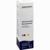 Dermasence Hyalusome Konzentrat Gesichtsfluid 30 ml - ab 25,67 €