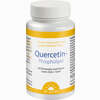 Quercetin- Phospholipid Dr. Jacobs Kapseln 60 Stück - ab 23,84 €