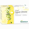 Abbildung von Sidroga Wellness Ingwer- Zitrone Filterbeutel 20 Stück