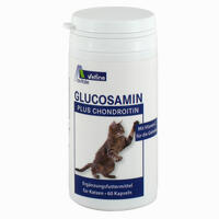 Glucosamin+chondroitin Kapseln für Katzen  120 Stück - ab 10,80 €