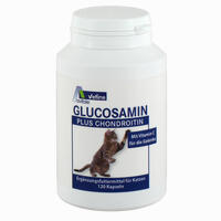 Glucosamin+chondroitin Kapseln für Katzen  120 Stück - ab 10,80 €