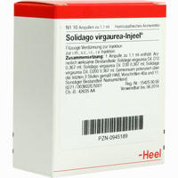 Solidago Virgaurea- Injeel Ampullen 10 Stück - ab 17,25 €